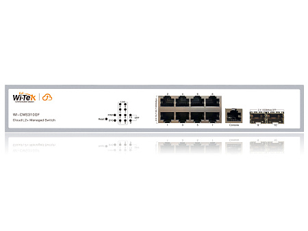 Wi-Tek WI-CMS310GF