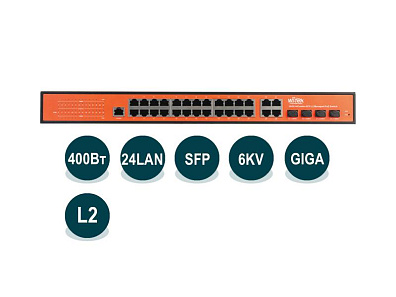 Wi-Tek WI-PMS328GF