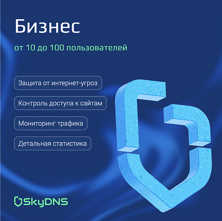 Тариф SkyDNS Business