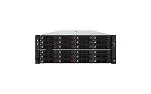 Сервер NERPA HC SR 43R