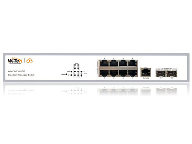 Wi-Tek WI-CMS310GF